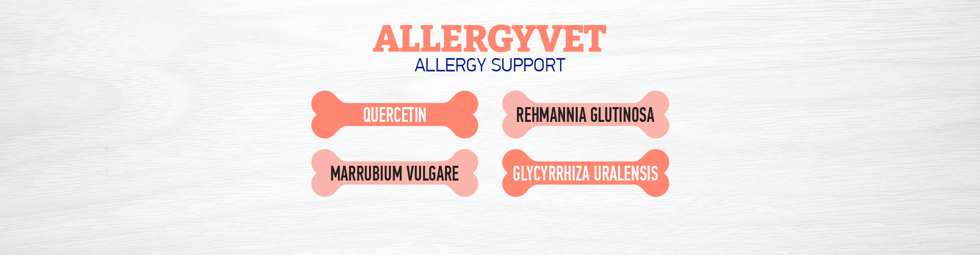 Аллергивет слайд 2