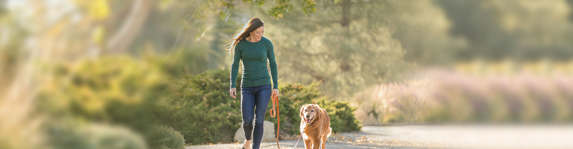 Seniorvet слайд 3