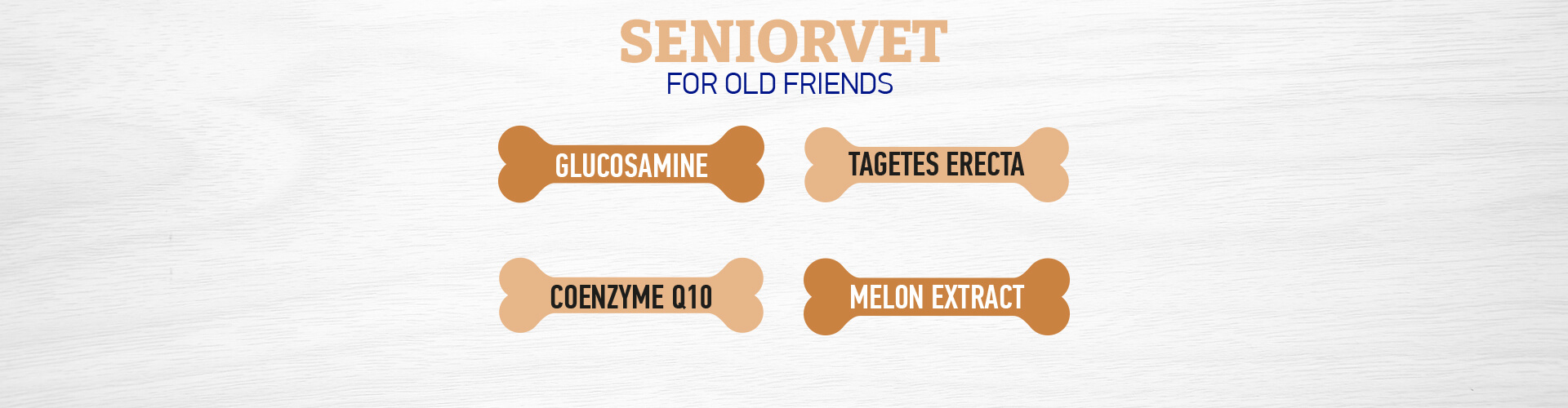 Seniorvet слайд 2