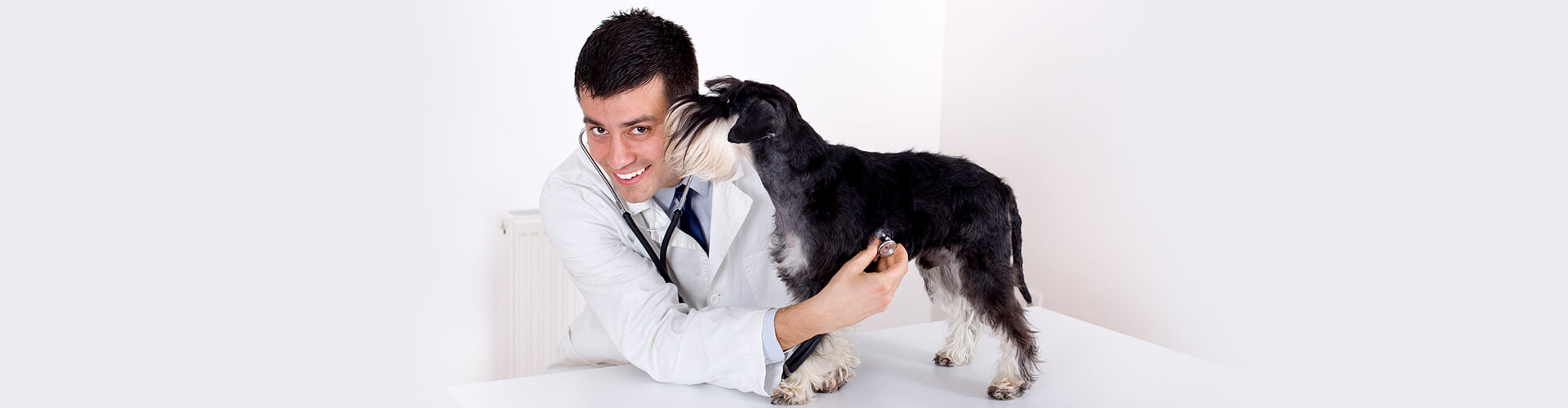 Stressvet слайд 3