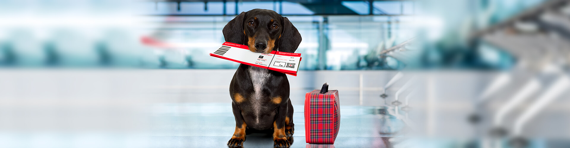 Stressvet слайд 4