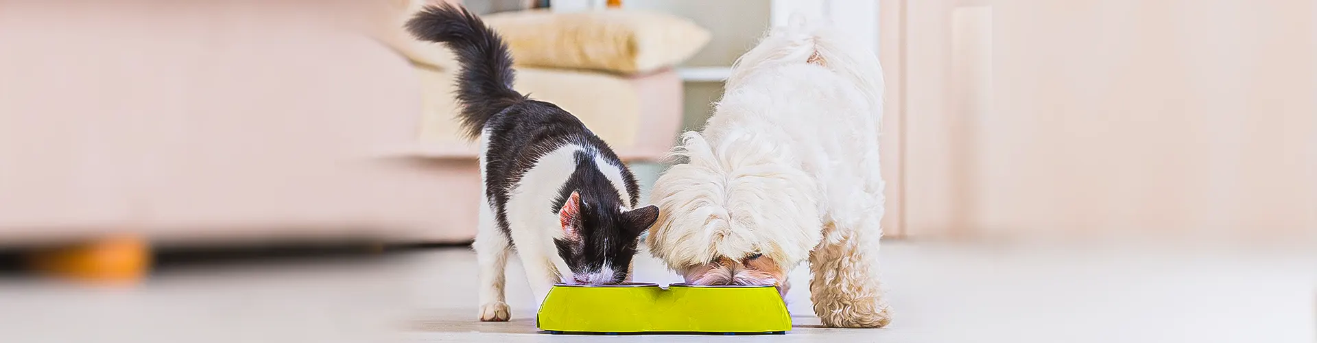 Пребиовет слайд 3