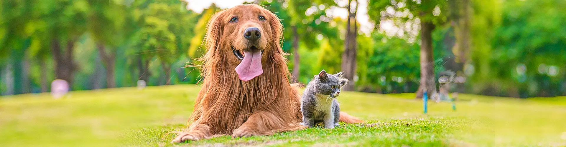 Пребиовет слайд 4